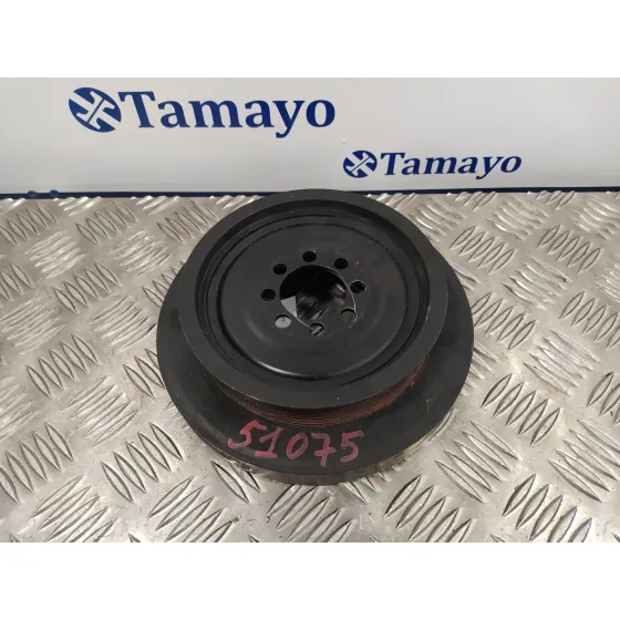 Polea Ciguenal para Bmw X3 (F25)
