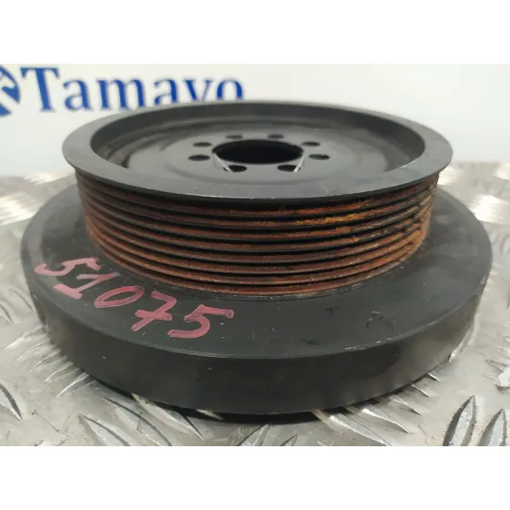 Polea Ciguenal para Bmw X3 (F25)