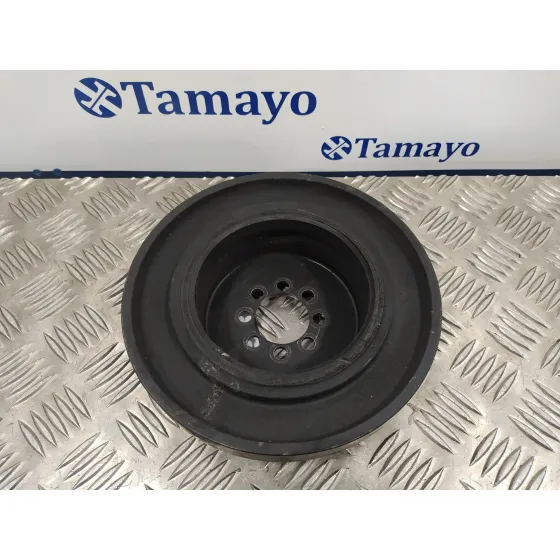 Polea Ciguenal para Bmw X3 (F25)