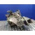 Caja Cambios para Opel Vectra C Berlina