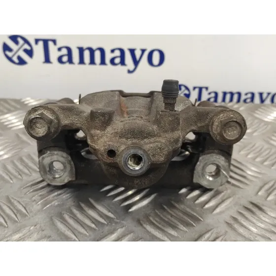 Pinza Freno Trasera Izquierda para Nissan Qashqai (J10)