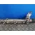 Cremallera Direccion para Bmw X3 (E83)