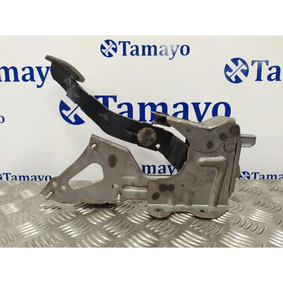 Pedal Freno para Nissan Qashqai (J10)