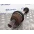 Transmision Delantera Izquierda para Ford Focus C-Max (Cap)