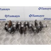 Ciguenal para Toyota Auris