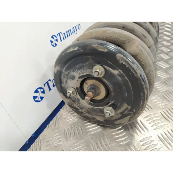 Amortiguador Delantero Derecho para Ford Transit Caja Cerrada, Larga (Fy) (2000 =>)