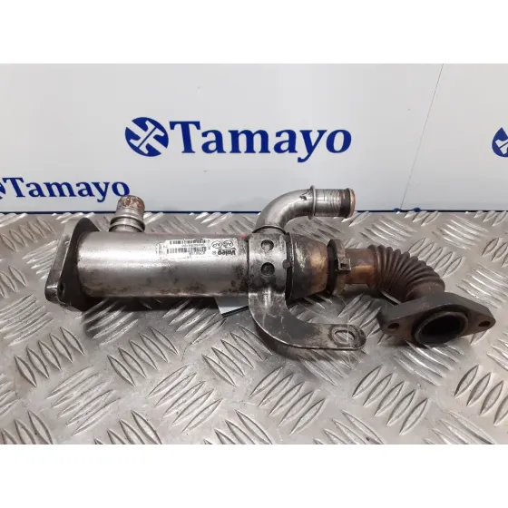 Enfriador Egr para Citroën Jumpy