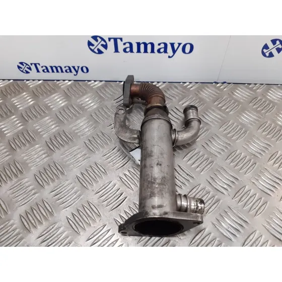 Enfriador Egr para Citroën Jumpy