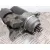 Motor Arranque para Seat Ibiza (6L1)