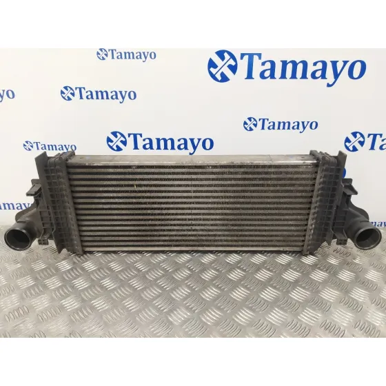 Intercooler para Mercedes-Benz Clase R (W251)