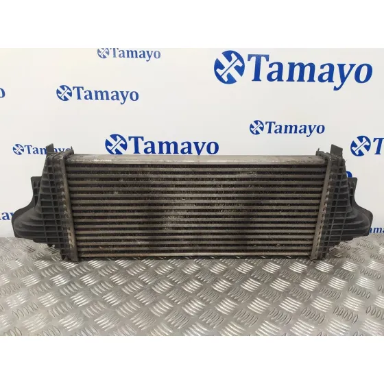 Intercooler para Mercedes-Benz Clase R (W251)