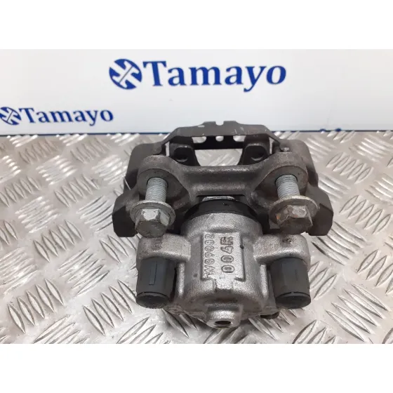 Pinza Freno Trasera Izquierda para Bmw Serie 3 Touring (F31)