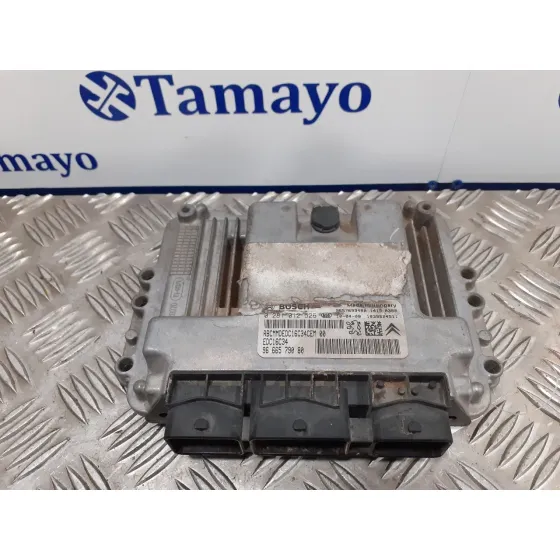 Centralita Motor Uce para Peugeot 206+