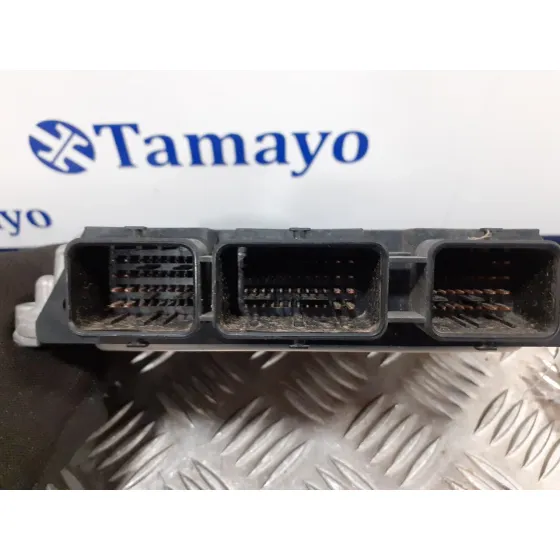 Centralita Motor Uce para Peugeot 206+