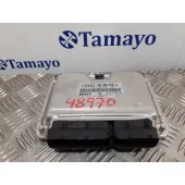 Centralita Motor Uce para Audi A4 Avant (8E)