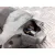 Motor Arranque para Renault Clio Ii Fase Ii (B/Cb0)