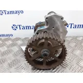 Bomba Inyeccion para Renault Laguna Ii (Bg0)