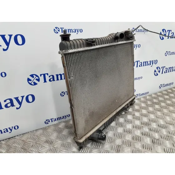 Radiador Agua para Ford Tourneo Connect (Tc7)