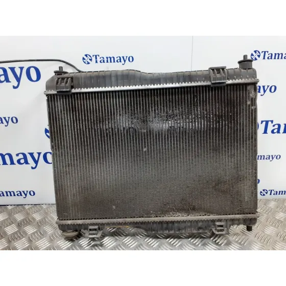 Radiador Agua para Ford Tourneo Connect (Tc7)