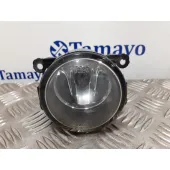 Faro Antiniebla Derecho para Renault Laguna Grandtour Iii