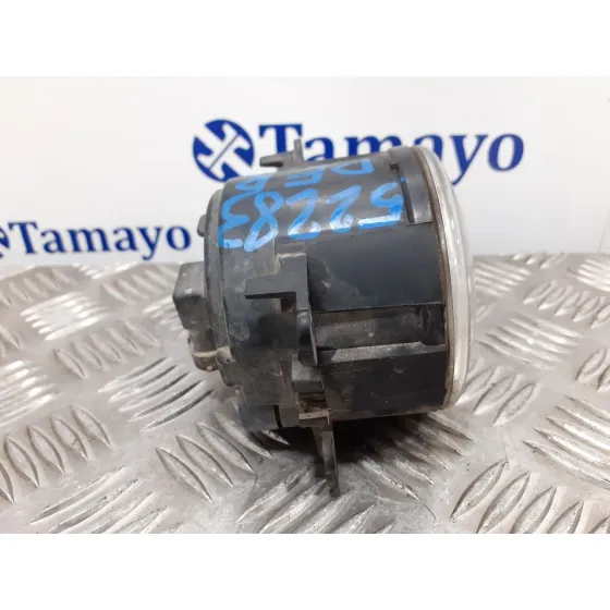Faro Antiniebla Derecho para Renault Laguna Grandtour Iii