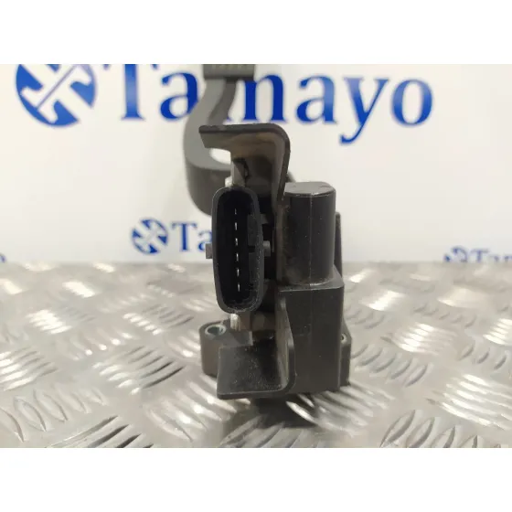 Potenciometro Pedal para Peugeot Bipper