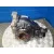 Diferencial Trasero para Bmw Serie 1 Berlina (E81/E87)