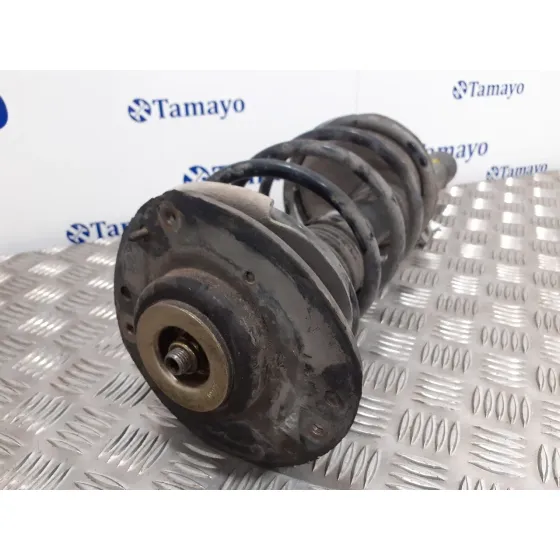 Amortiguador Delantero Izquierdo para Peugeot 206+