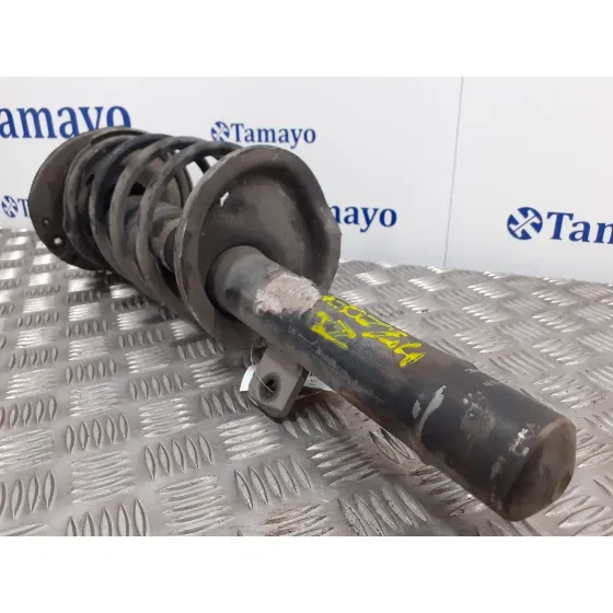 Amortiguador Delantero Izquierdo para Peugeot 206+