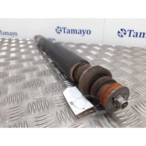 Amortiguador Trasero Derecho para Bmw Serie 3 Berlina (E90)