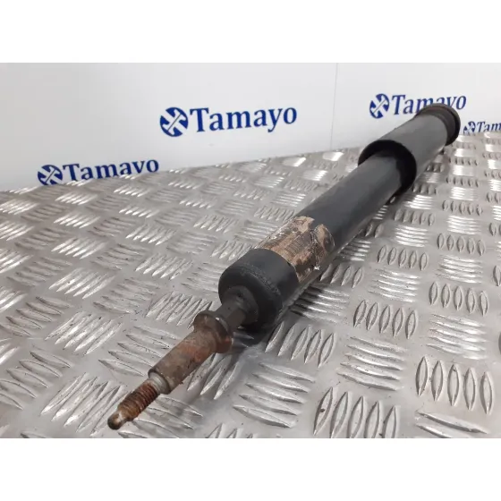 Amortiguador Trasero Izquierdo para Bmw Serie 3 Berlina (E90)