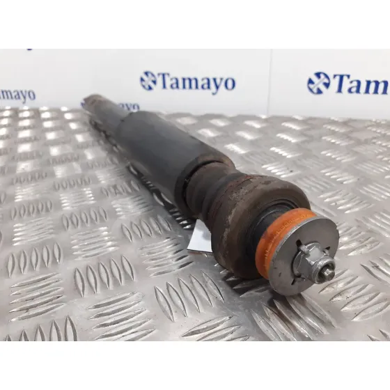 Amortiguador Trasero Izquierdo para Bmw Serie 3 Berlina (E90)