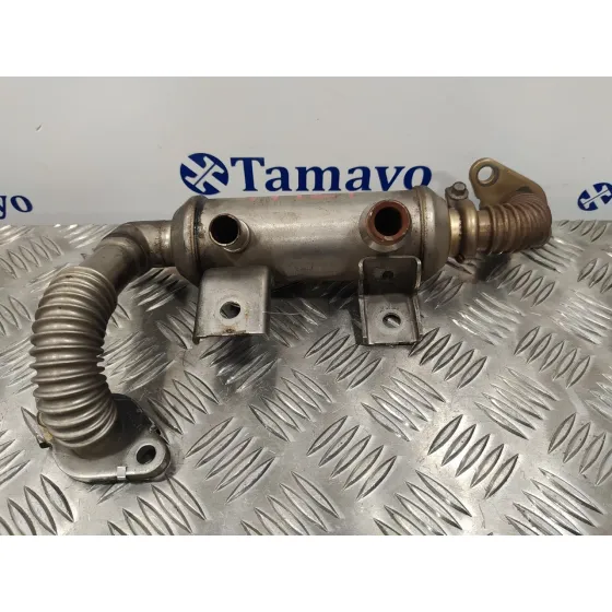 Enfriador Egr para Ford Mondeo Ber. (Ca2)