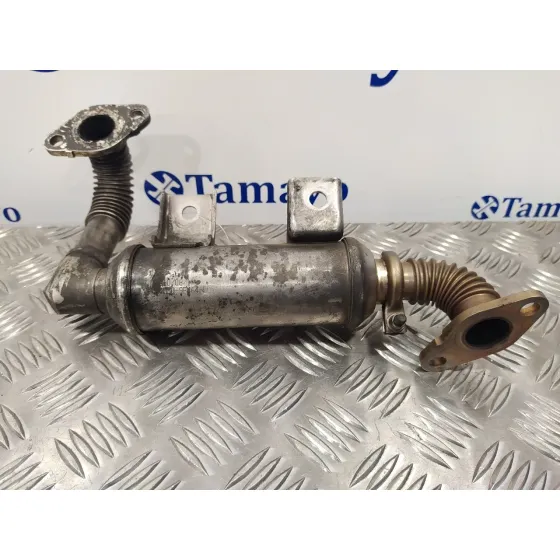 Enfriador Egr para Ford Mondeo Ber. (Ca2)