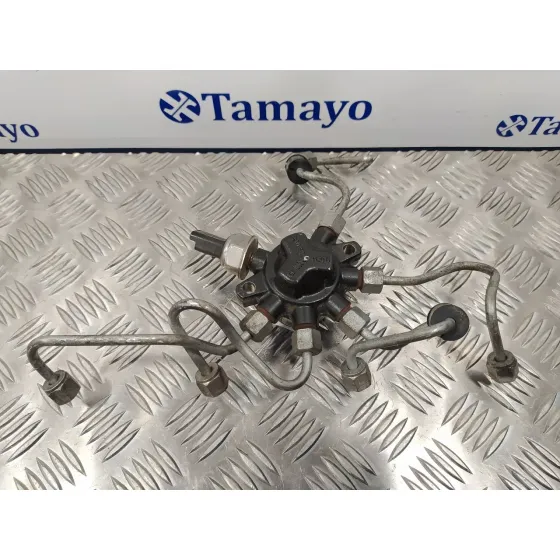 Rampa Inyectora para Ford Mondeo Ber. (Ca2)