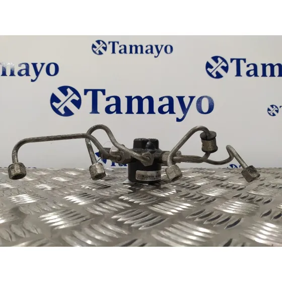 Rampa Inyectora para Ford Mondeo Ber. (Ca2)