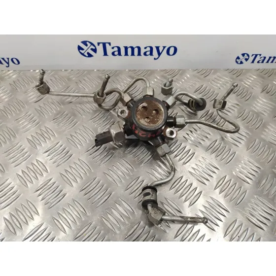 Rampa Inyectora para Ford Mondeo Ber. (Ca2)