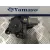 Motor Elevalunas Delantero Derecho para Ford Focus Berlina (Cap)