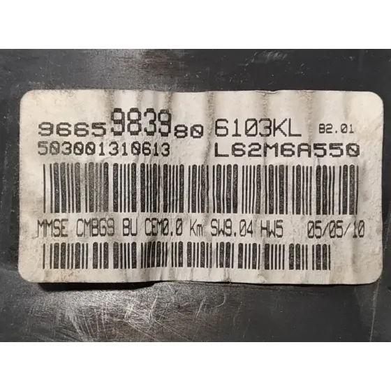 Cuadro Instrumentos para Fiat Scudo Combi (272)