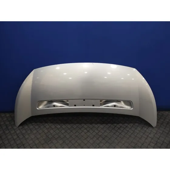 Capot para Fiat Scudo Combi (272)