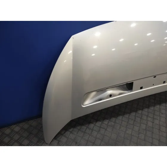 Capot para Fiat Scudo Combi (272)