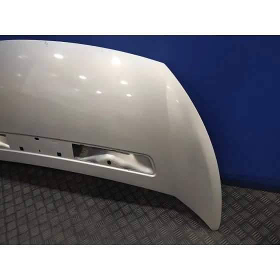 Capot para Fiat Scudo Combi (272)