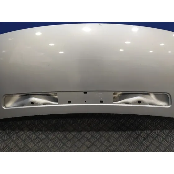 Capot para Fiat Scudo Combi (272)