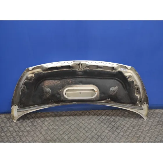 Capot para Fiat Scudo Combi (272)