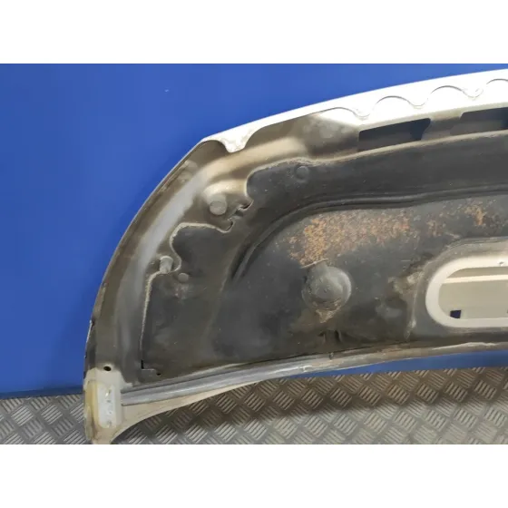 Capot para Fiat Scudo Combi (272)