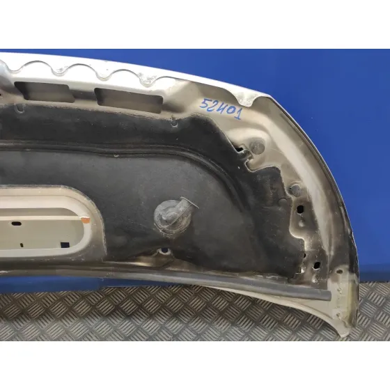 Capot para Fiat Scudo Combi (272)