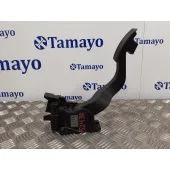 Potenciometro Pedal para Fiat Ducato Caja Cerrada 33, Techo Elevado (06.2006)