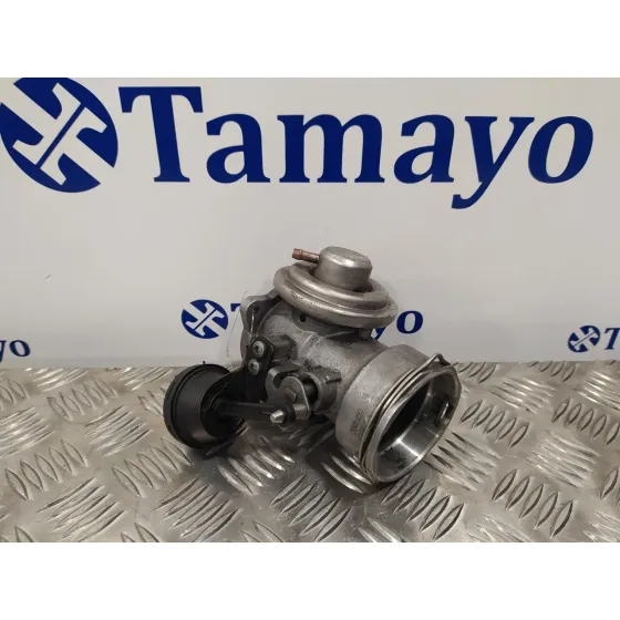 Valvula Egr para Volkswagen Golf Iv Berlina (1J1)