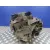 Caja Cambios para Ford Focus C-Max (Cap)