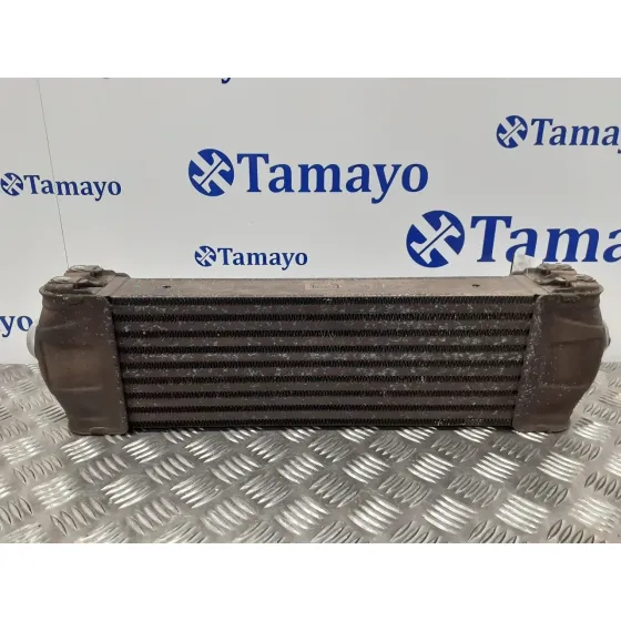 Radiador Agua para Ford Transit Caja Cerrada '06